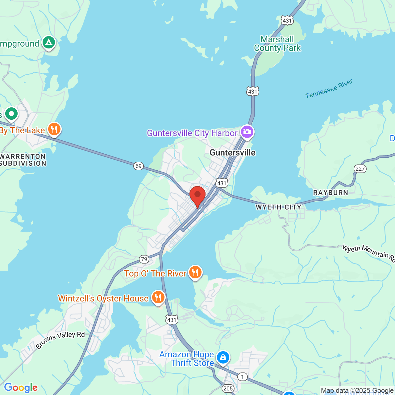 Google map image of our location in 11886 US Highway 431 Guntersville, AL